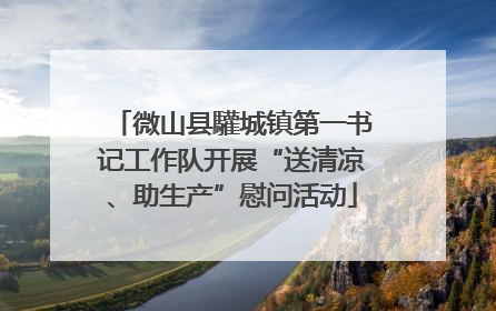 微山县驩城镇第一书记工作队开展“送清凉、助生产”慰问活动