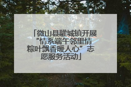微山县驩城镇开展“情系端午邻里情 粽叶飘香暖人心”志愿服务活动