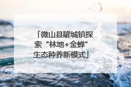 微山县驩城镇探索“林地+金蝉”生态种养新模式