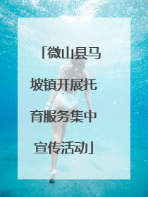 微山县马坡镇开展托育服务集中宣传活动