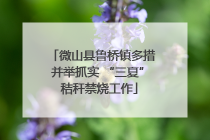 微山县鲁桥镇多措并举抓实 “三夏” 秸秆禁烧工作