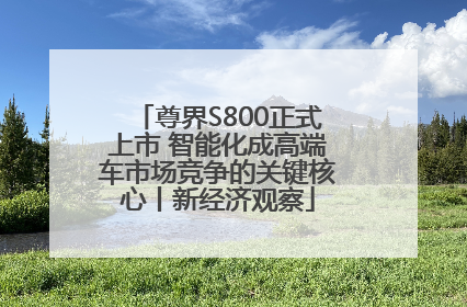尊界S800正式上市 智能化成高端车市场竞争的关键核心丨新经济观察