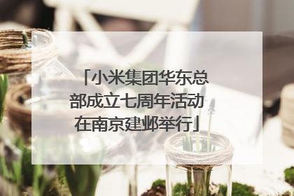 小米集团华东总部成立七周年活动在南京建邺举行