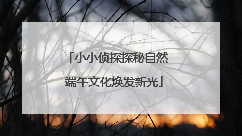 小小侦探探秘自然 端午文化焕发新光
