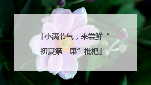 小满节气，来尝鲜“初夏第一果”枇杷