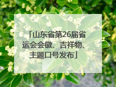 山东省第26届省运会会徽、吉祥物、主题口号发布