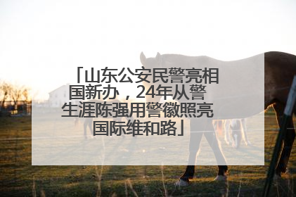 山东公安民警亮相国新办，24年从警生涯陈强用警徽照亮国际维和路