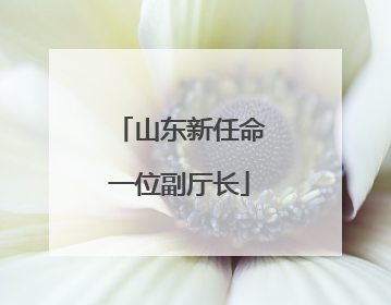 山东新任命一位副厅长