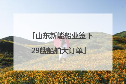 山东新能船业签下29艘船舶大订单