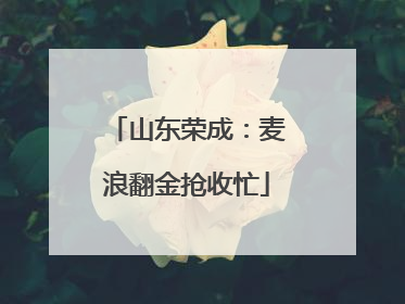 山东荣成：麦浪翻金抢收忙