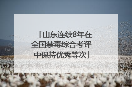 山东连续8年在全国禁毒综合考评中保持优秀等次