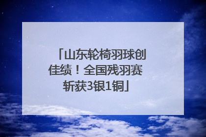 山东轮椅羽球创佳绩！全国残羽赛斩获3银1铜