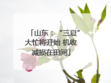 山东：“三夏”大忙将开始 机收减损在田间
