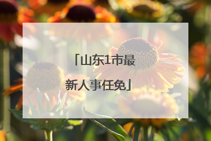 山东1市最新人事任免