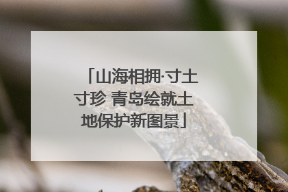 山海相拥·寸土寸珍 青岛绘就土地保护新图景