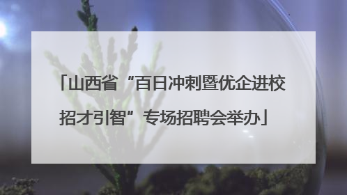 山西省“百日冲刺暨优企进校招才引智”专场招聘会举办