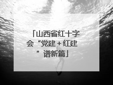 山西省红十字会“党建＋红建”谱新篇