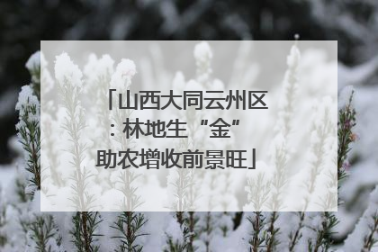 山西大同云州区：林地生“金” 助农增收前景旺