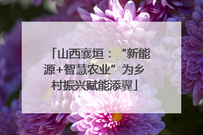 山西襄垣：“新能源+智慧农业”为乡村振兴赋能添翼