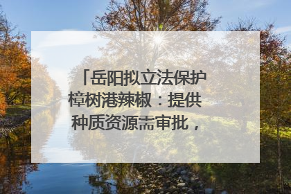 岳阳拟立法保护樟树港辣椒：提供种质资源需审批，违规最高罚5万