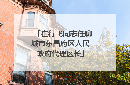 崔行飞同志任聊城市东昌府区人民政府代理区长