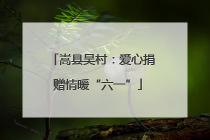 嵩县吴村：爱心捐赠情暖“六一”