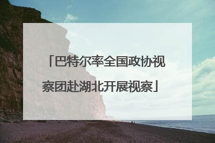 巴特尔率全国政协视察团赴湖北开展视察