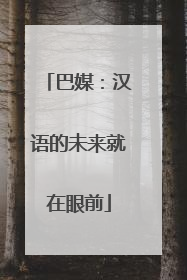 巴媒：汉语的未来就在眼前