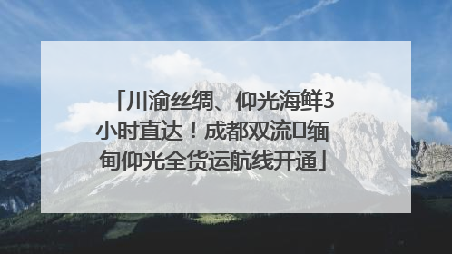 川渝丝绸、仰光海鲜3小时直达！成都双流⇌缅甸仰光全货运航线开通