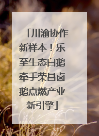 川渝协作新样本！乐至生态白鹅牵手荣昌卤鹅点燃产业新引擎