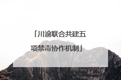 川渝联合共建五项禁毒协作机制