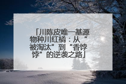 川陈皮唯一基源物种川红橘：从“被淘汰”到“香饽饽”的逆袭之路