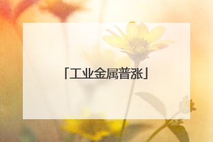 工业金属普涨