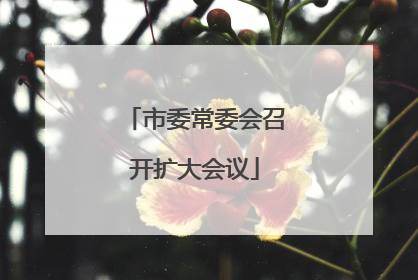 市委常委会召开扩大会议