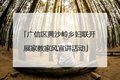 广信区黄沙岭乡妇联开展家教家风宣讲活动