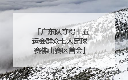 广东队夺得十五运会群众七人足球赛佛山赛区首金