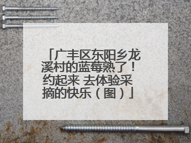 广丰区东阳乡龙溪村的蓝莓熟了！约起来 去体验采摘的快乐（图）
