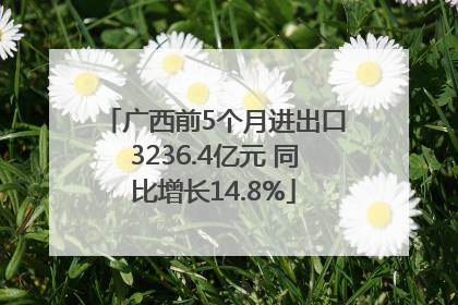 广西前5个月进出口3236.4亿元 同比增长14.8%