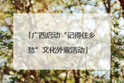 广西启动“记得住乡愁”文化外宣活动