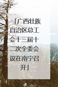 广西壮族自治区总工会十三届十二次全委会议在南宁召开