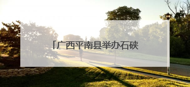 广西平南县举办石硖龙眼产销对接活动 签约逾3000万元