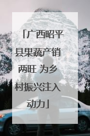 广西昭平县果蔬产销两旺 为乡村振兴注入动力