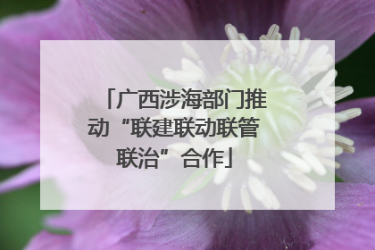 广西涉海部门推动“联建联动联管联治”合作