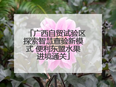 广西自贸试验区探索智慧查验新模式 便利东盟水果进境通关