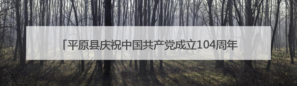平原县庆祝中国共产党成立104周年大会暨“七一”专题党课报告会召开