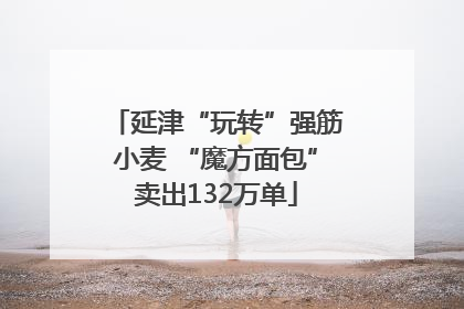 延津“玩转”强筋小麦 “魔方面包”卖出132万单