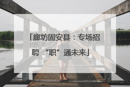 廊坊固安县：专场招聘 “职”通未来