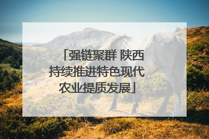 强链聚群 陕西持续推进特色现代农业提质发展