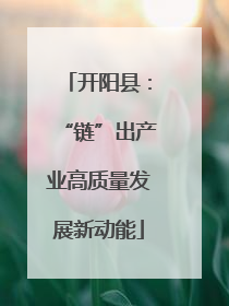 开阳县：“链”出产业高质量发展新动能