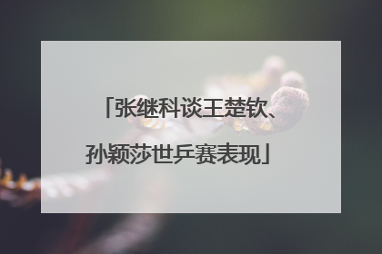 张继科谈王楚钦、孙颖莎世乒赛表现